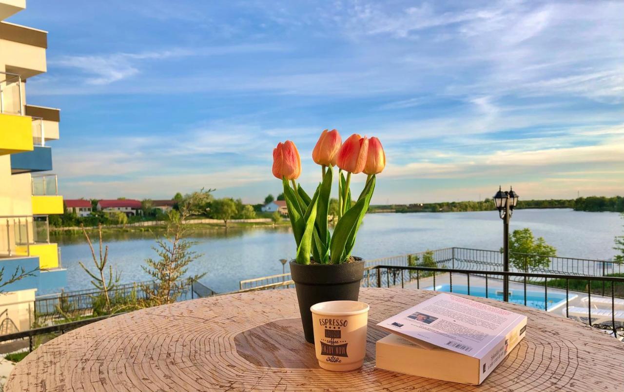 Snagov Lakeview Residences Tincabesti Exterior photo